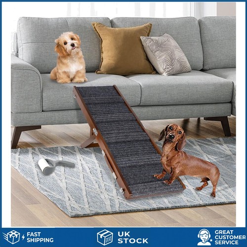 Compact folding dog - 32",