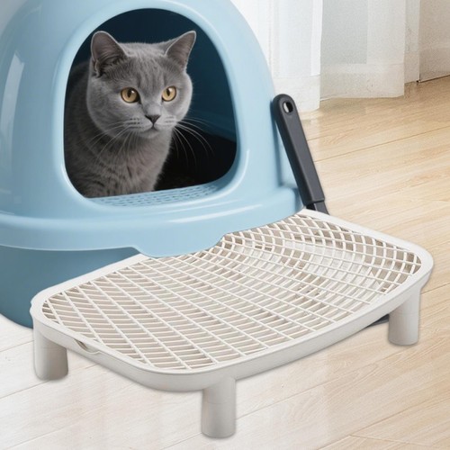 Cat step ramp for - ramp,